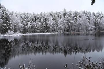 Фото номера Шале с одной спальней Шале Linkkumylly Cottages г. Nuolniemi 3